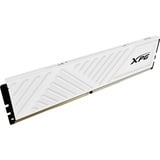 ADATA AX4U32008G16A-SWHD35, Memoria RAM blanco