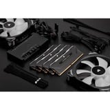 Corsair CMHLEKIT2K, Memoria RAM negro