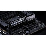 G.Skill F5-9000C4256H24GX2-TZ5CK, Memoria RAM negro