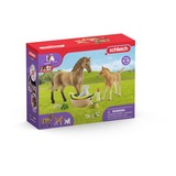 Schleich HORSE CLUB 42432 set de juguetes, Muñecos 5 año(s), Multicolor