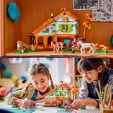 LEGO 41745, Juegos de construcción 