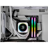 Corsair CMH64GX5M2B5600C36W, Memoria RAM blanco