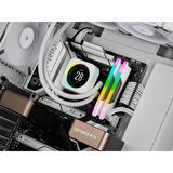 Corsair CMH64GX5M2B5600C36W, Memoria RAM blanco