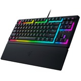 Razer RZ03-04880400-R3G1, Teclado para gaming negro