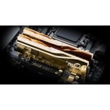 G.Skill F5-6000J2836G16GX2-TR5NG, Memoria RAM dorado