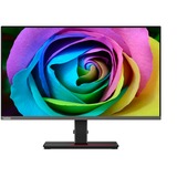 Lenovo Creator Extreme(F20270UP0), Monitor LED negro