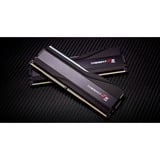 G.Skill F5-5600J4040D48GX2-TZ5RK, Memoria RAM negro