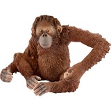 Schleich 14775 Orangután, Muñecos 3 año(s), África, Multicolor, Plástico