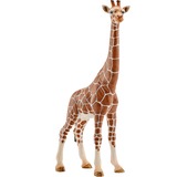 Schleich Vida Salvaje Jirafa Hembra, Muñecos 3 año(s), Multicolor, Plástico, 1 pieza(s)