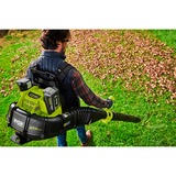 Ryobi RY36BPXB-0, Soplador de hojas verde/Negro