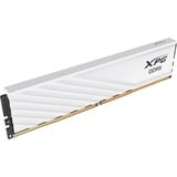 ADATA AX5U6000C3016G-SLABWH, Memoria RAM blanco