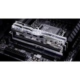 G.Skill F5-8400J4052G24GX2-TR5S, Memoria RAM plateado