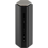 Netgear RS600-100EUS, Router 