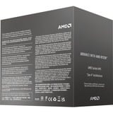 AMD 100-100001591BOX, Procesador en caja