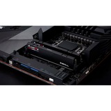 G.Skill F5-5600J4040D48GX2-FX5, Memoria RAM negro