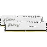 Kingston FURY KF556C36BWEK2-64, Memoria RAM blanco