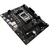 Biostar A620MT, Placa base negro