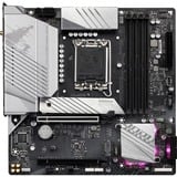 GIGABYTE B760M AORUS ELITE AX, Placa base plateado