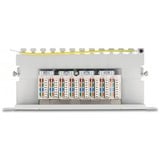 DeLOCK 66871 panel de parcheo 0.5U, Patch Panel gris, Gris, Metal, 0.5U, 254 mm, 100 mm, 22 mm