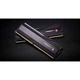 G.Skill F5-5600J2834F16GX2-TZ5RK, Memoria RAM negro