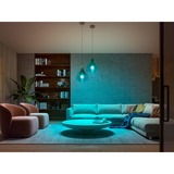 Philips Hue 9290024688, Lámpara LED 