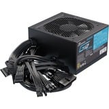 Seasonic SSP-850RT2, Fuente de alimentación de PC 