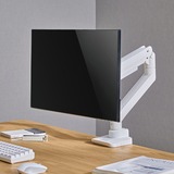 SilverStone SST-ARM14, Soporte de monitor blanco