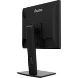 iiyama B1980D-B5, Monitor LED negro