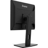 iiyama B1980D-B5, Monitor LED negro