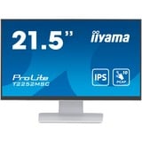 iiyama T2252MSC-W2, Monitor LED blanco