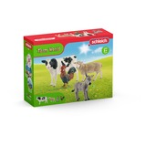 Schleich Farm World Starter-Set, Muñecos 3 año(s), Granja, Multicolor