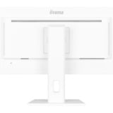 iiyama XUB2497HSU-W2, Monitor LED blanco (mate)