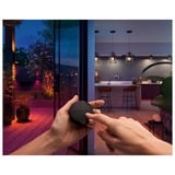 Philips Hue Tap Dial, Botón negro