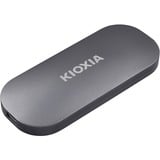 Kioxia LXD10S001TG8, Unidad de estado sólido gris