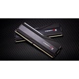 G.Skill F5-6800J3445G16GX2-TZ5RK, Memoria RAM negro