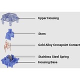 Keychron G62, Interruptor de botón azul oscuro
