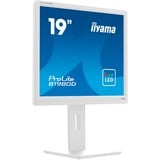 iiyama B1980D-W5, Monitor LED blanco