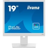 iiyama B1980D-W5, Monitor LED blanco