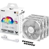 ASUS TUF GAMING TR120 ARGB, Ventilador blanco/Transparente