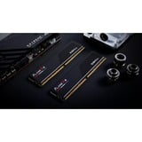 G.Skill F5-6000J3036F16GX2-FX5, Memoria RAM negro