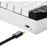 Sharkoon SGK50 S4 teclado USB QWERTY Español Blanco, Teclado para gaming blanco/Negro, 60%, USB, QWERTY, LED RGB, Blanco