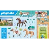 PLAYMOBIL 71356, Juegos de construcción 