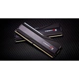 G.Skill F5-7600J3848F24GX2-TZ5RK, Memoria RAM negro