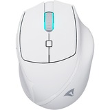 Sharkoon OfficePal M25W, Ratón blanco