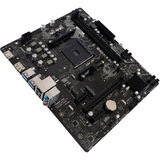 Biostar A520MT, Placa base negro