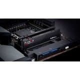 G.Skill F5-5600J4040D24GX2-FX5, Memoria RAM negro