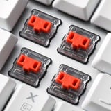 Sharkoon 4044951034260, Teclado para gaming blanco