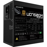 GIGABYTE GP-UD750GM 750W, Fuente de alimentación de PC negro