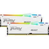 Kingston FURY KF556C40BWAK2-64, Memoria RAM blanco