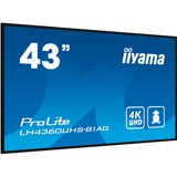 iiyama LH4360UHS-B1AG, Pantalla de gran formato negro (mate)